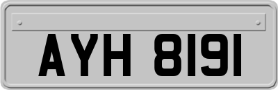 AYH8191