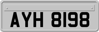 AYH8198