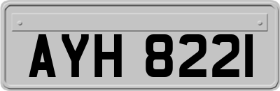 AYH8221