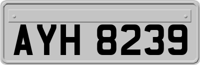AYH8239