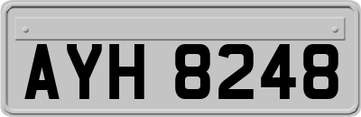 AYH8248