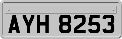 AYH8253
