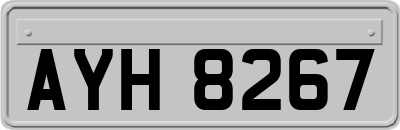 AYH8267