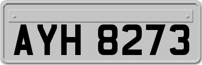 AYH8273