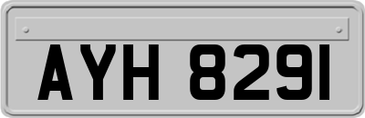 AYH8291