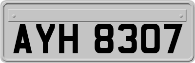 AYH8307