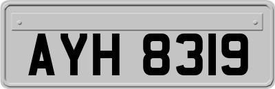AYH8319