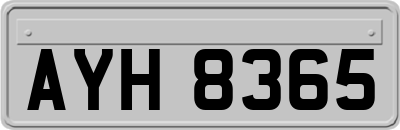 AYH8365
