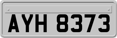 AYH8373