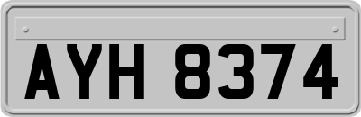 AYH8374