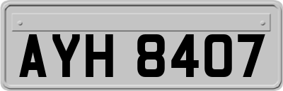 AYH8407