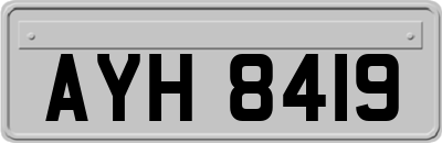 AYH8419