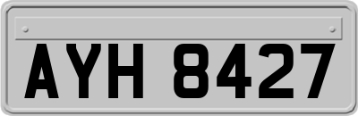 AYH8427