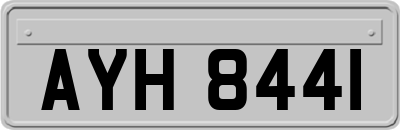 AYH8441