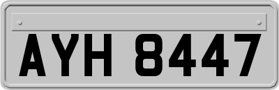 AYH8447