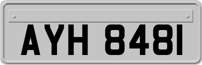AYH8481