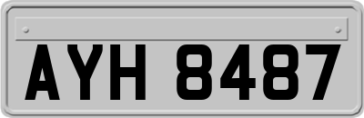 AYH8487
