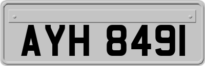 AYH8491
