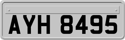 AYH8495