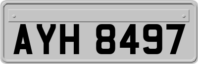 AYH8497