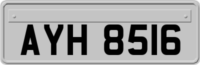 AYH8516