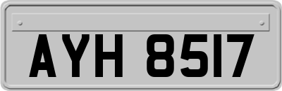 AYH8517