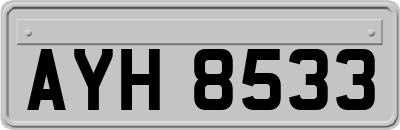 AYH8533