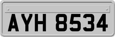 AYH8534