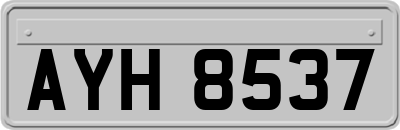 AYH8537