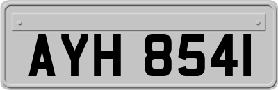AYH8541