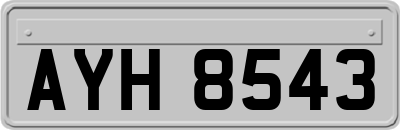 AYH8543
