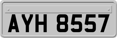 AYH8557