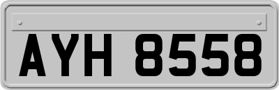 AYH8558