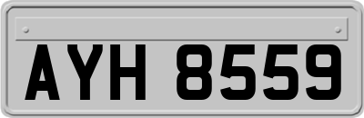 AYH8559