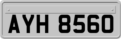 AYH8560