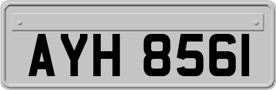AYH8561
