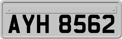 AYH8562
