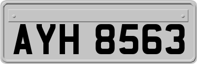 AYH8563