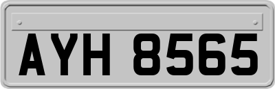 AYH8565