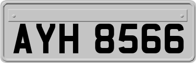 AYH8566