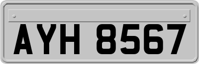 AYH8567