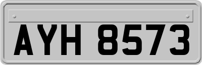 AYH8573