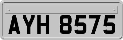 AYH8575