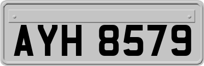AYH8579