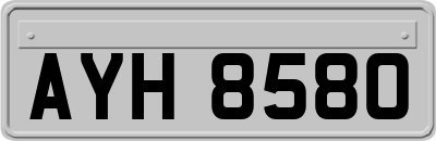 AYH8580