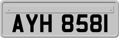 AYH8581