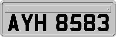 AYH8583