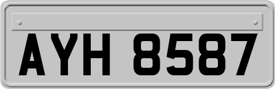 AYH8587