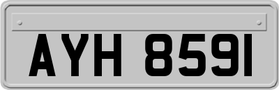 AYH8591
