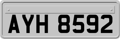 AYH8592